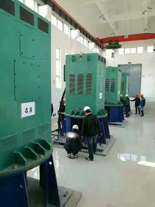 共青城某污水处理厂使用我厂的立式高压电机安装现场