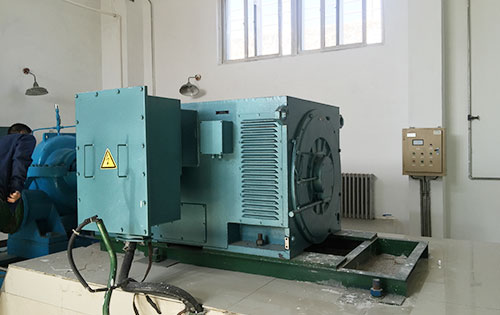 共青城某水电站工程主水泵使用我公司高压电机